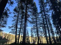 IMG_5292.jpeg