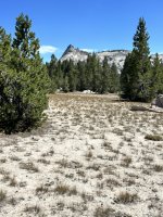 IMG_5284.jpeg