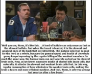 1754345069674.png