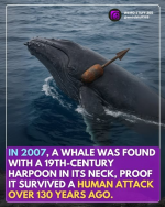 1754399866367.png