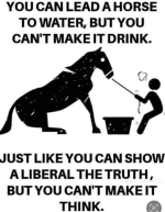 1754401153232.png