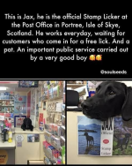 1754402589088.png