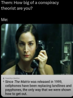 1754413312839.png