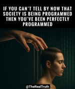 1754481791681.png