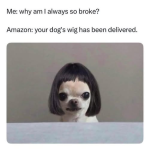 1754482641772.png
