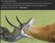 1754498453725.png