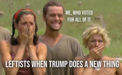 1754506995632.png