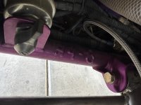 IMG_5619.jpeg