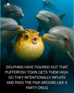1754586993106.png
