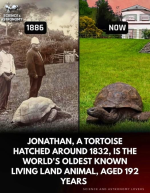1754659832126.png