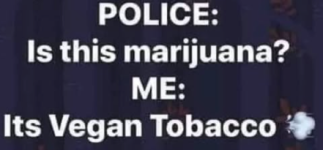 1754686335907.png