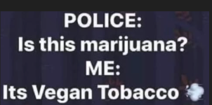 1754732591035.png