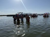 IMG_1710.jpeg