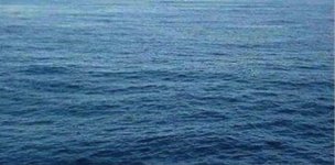 Submarine Racing.jpg