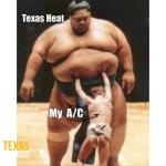1754998341630.png
