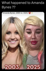 1754998378026.png