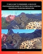 1755012058167.png
