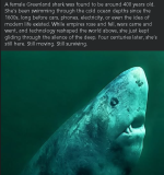 1755091205642.png