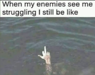 1755262212232.png