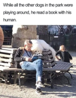 1755278802718.png