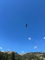 F12F7589-4F19-4A60-9C98-D6FC0B645E95.jpeg