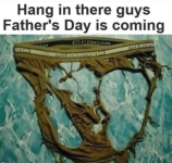 1755554227406.png