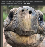 1755637454711.png