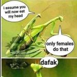 1755637521848.png