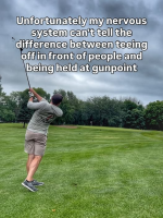 1755709579996.png