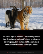 1755709654897.png