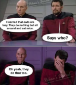 1755726053173.png