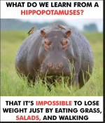 1756063920923.png