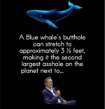 1756212315291.png
