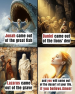 1756212344720.png