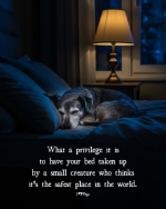 1756216078048.png