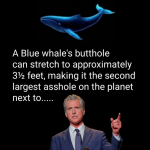 Screenshot 2025-08-27 at 08-39-12 Facebook.png