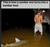 1756326036525.png