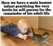 1756336566425.png
