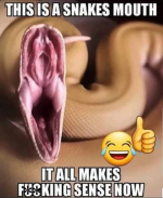 1756405938073.png