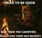 1756415777943.png