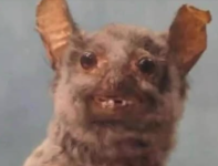 1756419657006.png