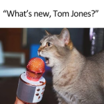 1756419995571.png