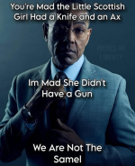 1756476101356.png