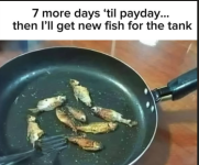 1756493535094.png