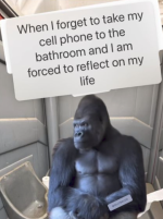 1756646488877.png