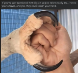 1756847002427.png