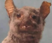 1756899590549.png