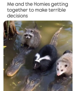 1757006677175.png