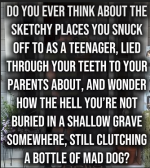 1757066524628.png