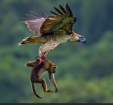 1757219700905.png